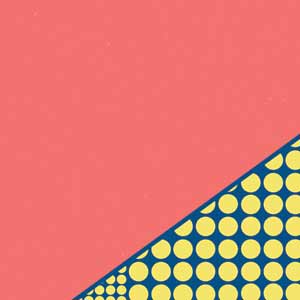 Coral Diagonal Split Surface Laptop Skin